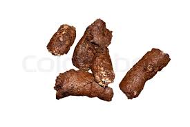 Hund Kot Stock Bild Colourbox