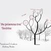 Fruit of the poisonous tree. 1