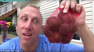 Check spelling or type a new query. Youtube Shuts Down Creepy Toy Freaks Channel Daily Mail Online