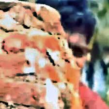 Indian schoolgirl sex in forest