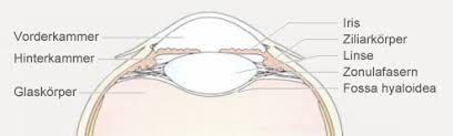 Gibt es alternativen zu einer operation? Die Graue Star Operation Braucht Es Noch Eine Brille Hirslanden