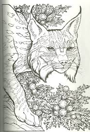 The bob ross coloring book (universe) is the first authorized coloring book based on ross's artistic archive. Bob Cat Coloring Pages Coloring Books Disney Coloring Pages Coloring Pages