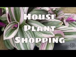 The pros at home depot came up with this clever new way to plant a backyard garden. Home Depot Potting Soil 4 For 10 07 2021