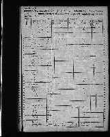 Ellen Luisa Fehr (1837–1919)