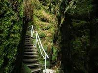 Bumbaurhof Markt Indersdorf Kimapa Bauernhof Bauernhof Schwarzwald Naturspielplatz