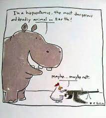 A Little Hippo Humor To Brighten Your Day Cute Hippo Fiona The Hippo Hippopotamus
