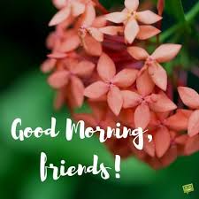 Here you can download good morning flowers images photos pictures for whatsapp dp, whatsapp status, facebook status, messenger story, telegrams, and instagram. Uplifting Good Morning Images Time To Start The Day