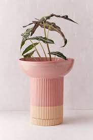 Set up your own indoor garden oasis with our range of plant pots and hanging planters. Signe Tall Planter Tall Planters Bamboo Beaded Curtains Planters