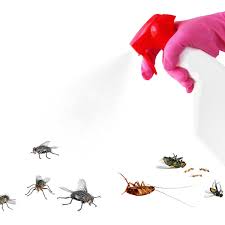 Pest problems can become more than a minor nuisance and have the potential to cause major headaches. This Trick Will Get Rid Of Most Insects Around Your Home