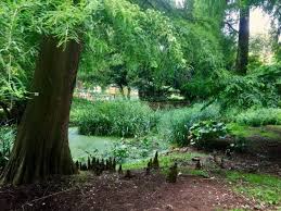 Die naturkundliche station ruft jung und alt auf, ihre tierischen beobachtung im stadtgebiet von linz zu melden. Alter Botanischer Garten Bild Von Alter Botanischer Garten Kiel Tripadvisor