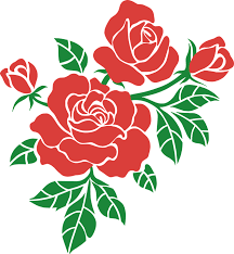 Check spelling or type a new query. Rose Flower Red Free Vector Graphic On Pixabay