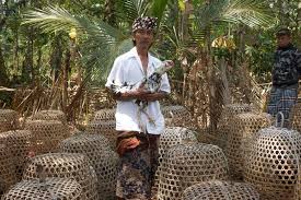 We did not find results for: Makna Pentingnya Ayam Dalam Hidup Orang Bali Mongabay Co Id Mongabay Co Id