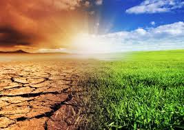 A riba stirling díjat elnyert 17 építész a klímaváltozásra és a rohamosan kipusztuló fajokra hívja fel a figyelmet. Igy Hat Magyarorszag Idojarasara A Klimavaltozas Mit Lehetett Erezni 2017 Ben Terasz Femina