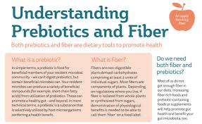 Both prebiotics and probiotics are necessary for optimal gut health, but at their core, they are very different compounds. Do You Know The Difference Between Fiber And Prebiotics A New Isapp Infographic Explains International Scientific Association For Probiotics And Prebiotics Isapp