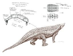 Discover more posts about aetosaurs. From The Triassic To Appalachian Archie The Aetosaur Makes His Bronze Debut On Campus Appalachian Today