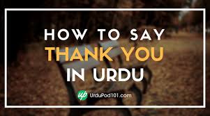 How to Say Thank You in Urdu - UrduPod101