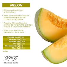 Les Bienfaits Du Melon Aliments Bons Pour La Sante Sante Abaisser Le Taux De Cholesterol