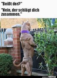 The fastest meme generator on the planet. Dieter Schulz Dieter3526 Profil Pinterest