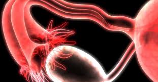 Studies have not found a link between pcos and breast cancer formally. Enlarged Ovaries Symptoms Causes And Treatment