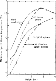 Cactus spines aren't just nature's way to make the desert a rougher place to be. Https Link Springer Com Content Pdf 10 1007 978 3 642 60979 4 5 Pdf
