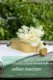 Selbstgemacher Holunderblutensirup Mit Birkenzucker We Go Wild Rezept In 2020 Holunder Holunderblutensirup Selber Machen Birkenzucker