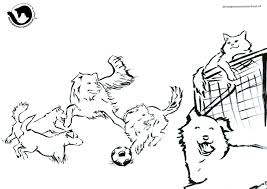 Kleurplaat hond en kat vinden elkaar leuk kleurplaten nl from www.kleurplaten.nl. Extra S Kleurplaten Van Dpo Dierenpension Oosterhout
