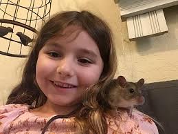 Grumpy is getting adopted