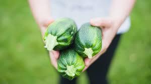 Freeze the zucchini until ready to use. How To Freeze Zucchini In Just 10 Minutes Homesteading