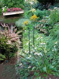 Takoma Park Gardens And Active Horticultural Club Since 1916 Takoma Park Park Plants