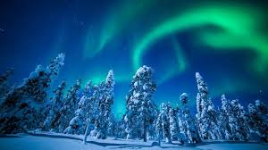 Lapland Finland Winter Snow Tree Night Northern Lights 5k Horizontal Winter Northern Lights Northern Lights Northern Lights Wallpaper