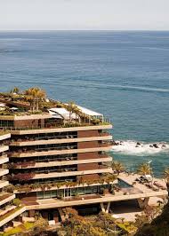 Image result for Saccharum