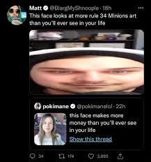 Matt @BlargMyShnoople- This face looks at more rule 34 Minions art than  you'll ever see in your life pokimane @pokimanelol- this face makes more  money than you'll ever see in your life