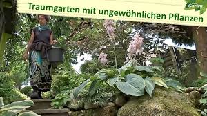 Wir bieten produkte und systemlösungen zur gestaltung von garten, terrasse und balkon. Ein Traumgarten Voller Ungewohnlicher Pflanzen Mdr Garten Youtube