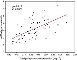 Meta Analysis Of Glyphosate Contamination In Surface Waters And Dissipation By Biofilms Sciencedirect