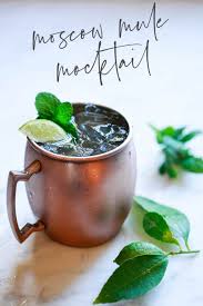 Virgin Moscow Mule Best Easy Ginger Beer Mocktail Recipe Recipe In 2020 Mocktails Ginger Beer Ginger Beer Mocktail Recipe