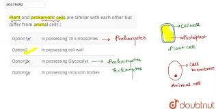 Check spelling or type a new query. Plant And Prokaryotic Cells Are Similar With Each Other But Differ From Animal Cells