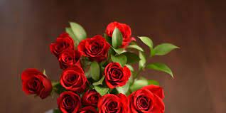 Maybe you would like to learn more about one of these? 6 Ways To Make Your Valentine S Day Roses Last Longer