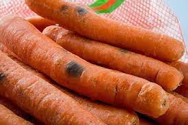 How To Tell If Carrots Are Bad 5 Steps You Shouldn T Forget 2021 Se