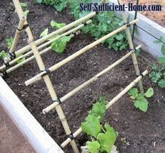 Trellis netting best heavy duty net grow garden flowers, green pea, cucumber, tomatoes, bean and vine plants support plants for strong growth scrog mesh fence 5 x 60 foot 1.5 x 18.2 meters 1,288 $10 90 Trellising Cucumbers Timberline Homestead Bamboo Trellis Bamboo Garden Diy Garden Trellis