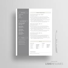 professional resume templates