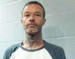 Local woman sent to prison for drug crimes