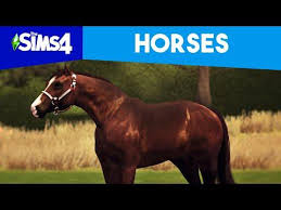 You may all know by now how much i complain search for horse thingy for my games in the sims 4, i'm sure… also, i very recently discovered . Horses In The Sims 4 Does Anyone Else Really Want Them Or Is It Just Me R Sims4