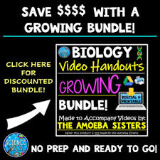 Join the amoeba sisters as they discuss the terms gene and allele in context of a gene involved in ptc (phenylthiocarbamide). Alleles And Genes Video Handout For Video Made By The Amoeba Sisters