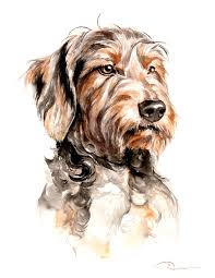 We did not find results for: Painting Watercolor Dog Portrait Painting Inspired