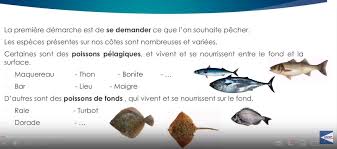 Le set canne resifight caperlan. Se Mettre A La Peche En Mer Comment Bien Choisir Son Materiel De Peche Actunautique Com