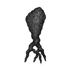 Lee Gil Rae Pine Tree