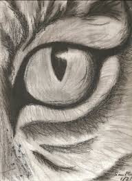 Eine Idee Des Zeichnens In Kohle Tierauge Zeichnen Leicht Zu Reproduzieren Pencil Drawings Of Animals Easy Charcoal Drawings Animal Sketches Easy