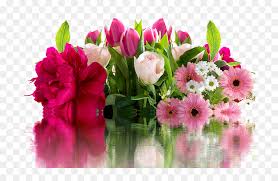 May your birthday be filled with birdsong and blooms. Find Cute Birthday Wishes For Friends Good Night Flowers Images For Whatsapp Hd Png Download Vhv