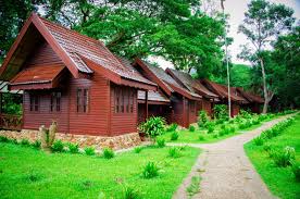 Discover the wonders of an ancient forest at mutiara taman negara resort. Chalets Mutiara Taman Negara