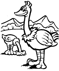 Ostrich coloring pages ostrich outline at printable coloring4free. Ostrich Coloring Page Animals Town Animals Color Sheet Ostrich Free Printable Coloring Pages Animals